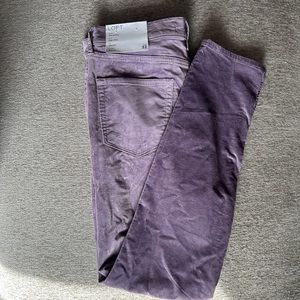 LOFT velvet pants - Brand new